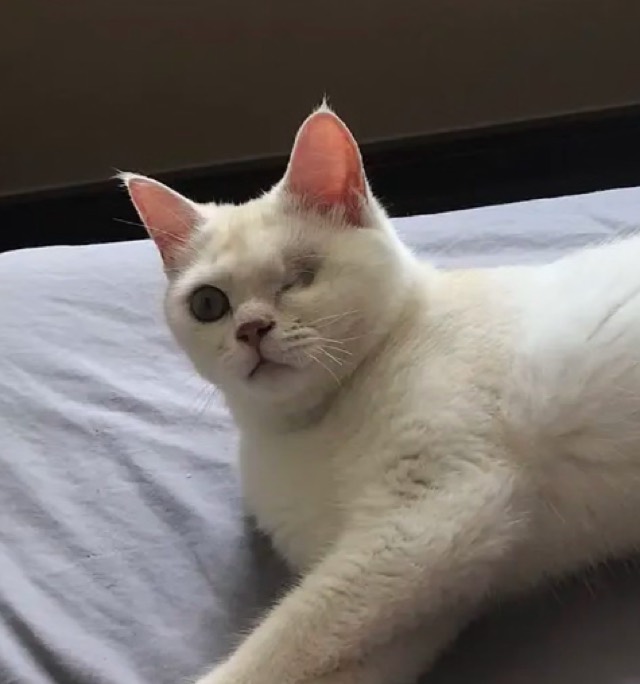 Enucleation Cavity Filling: Still full at 2 months