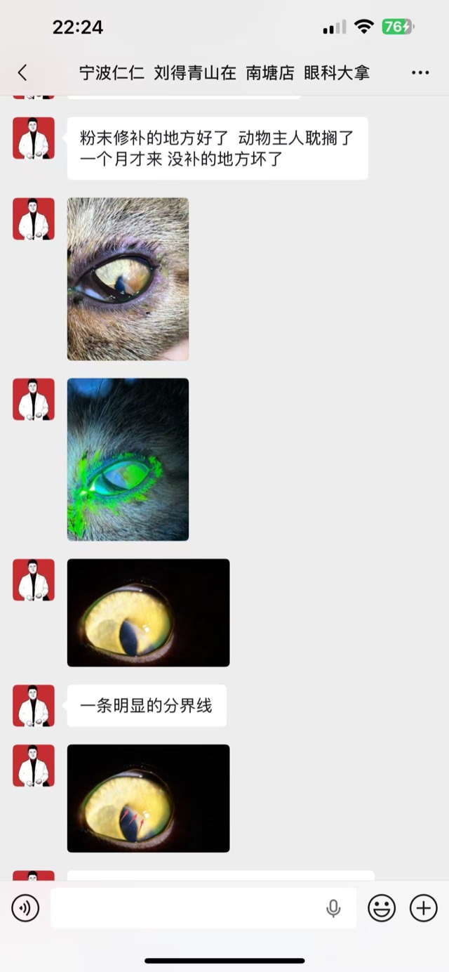 ECM Antibacterial Powder Corneal Application: Powder applied with bandage lens