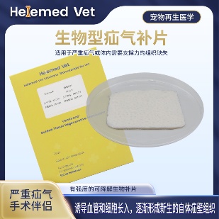 Biosynthetic Absorbable Hernia Mesh 50×60mm